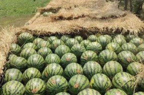 2021年吃瓜大全,盘点娱乐圈、社会热点那些事儿