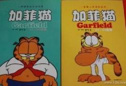 加菲猫漫画全集,欢乐时光里的猫界传奇