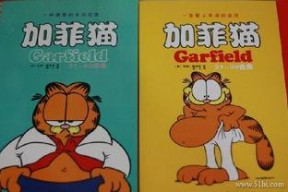 加菲猫漫画全集,欢乐时光里的猫界传奇