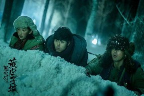 鬼吹灯之黄皮子坟电视剧演员表,实力派加盟，演绎惊险探险之旅